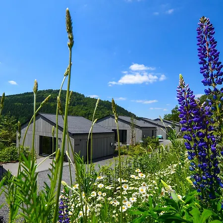 Sauerland Lodge - Haus Juliana-2